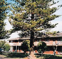 Eastern Beach Holiday Units - Accommodation Whitsundays