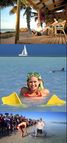 Monkey Mia Dolphin Resort - Accommodation Whitsundays 0