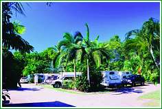 Tropical Hibiscus Caravan Park - Accommodation Whitsundays 0