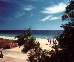 Acacia Caravan Park - Accommodation Whitsundays 0