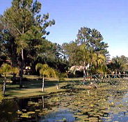 Twin Lakes Hotel - Accommodation Whitsundays