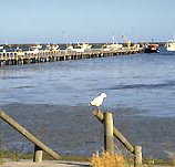 Seaview Motel and Holiday Units - Accommodation Whitsundays