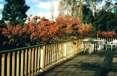 Heronswood House - Accommodation Whitsundays 5