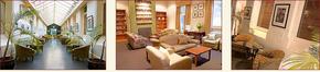 AnsoniA On Lydiard - Accommodation Whitsundays 1