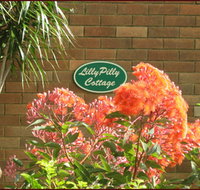 Lillypilly - Accommodation Whitsundays