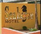 Seahorse Motel - Accommodation Whitsundays 1