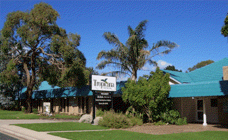 The Tropicana Motor Inn - Accommodation Whitsundays 0