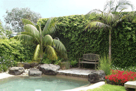 The Tropicana Motor Inn - Accommodation Whitsundays 2