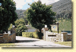 Willow Dene - Accommodation Whitsundays 1