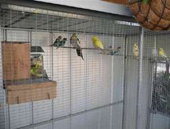 Yarragon Motel - Accommodation Whitsundays 1