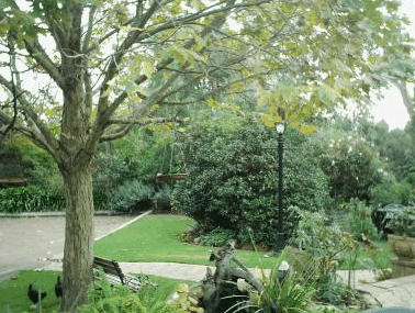 The Noble Grape - Accommodation Whitsundays 1