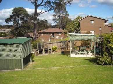 The Tree Motel - Accommodation Whitsundays 0
