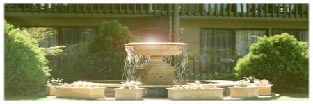 Best Western Tall Trees Motel - Accommodation Whitsundays 2