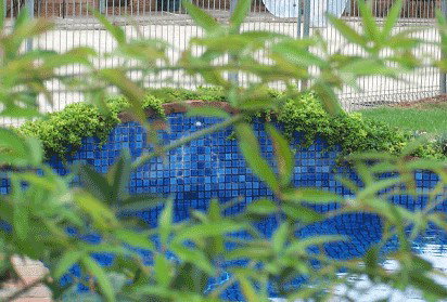 Arcadia Motor Inn - Accommodation Whitsundays 4