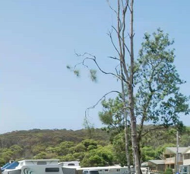 Merry Beach Caravan Park - Accommodation Whitsundays 2