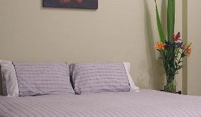 Stingo Hotel - Accommodation Whitsundays 0