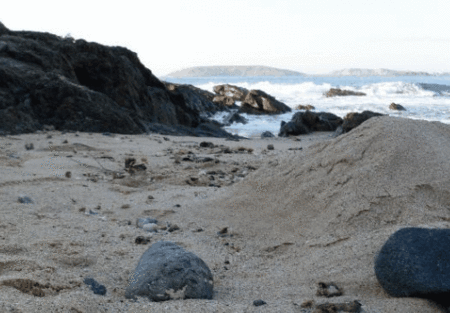 Hawaiian Sands Motor Inn - Accommodation Whitsundays 4