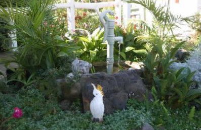 Kingfisher Motel - Accommodation Whitsundays 3