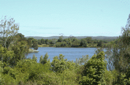 Riverview Motor Inn - Accommodation Whitsundays 3
