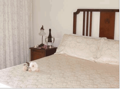 Catton Hall Country Homestead - Accommodation Whitsundays 3
