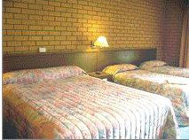 Bega Village Motor Inn - Accommodation Whitsundays 3
