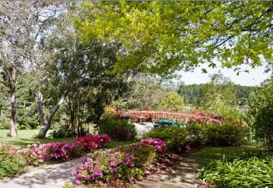 Bilpin Resort - Accommodation Whitsundays 2