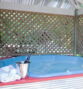 Cayambe View Bed & Breakfast - Accommodation Whitsundays 3