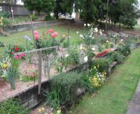 Kintail Homestay - Accommodation Whitsundays 0