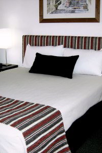 Cattle City Motor Inn - Accommodation Whitsundays 1