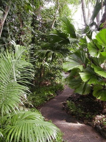 Rainforest Grove Holiday Resort - thumb 1