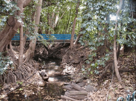 Rainforest Grove Holiday Resort - thumb 3