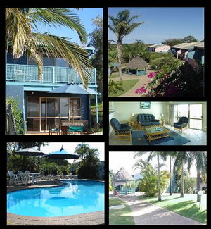 Pandanus Palms Resort - Accommodation Whitsundays 1
