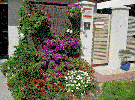 Lahania By The Sea - Accommodation Whitsundays 3