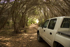 Nampara Cabins - Accommodation Whitsundays 1