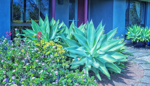 Possum Creek Lodge - Accommodation Whitsundays 2