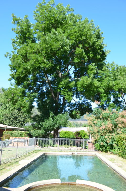 Bright Colonial Inn Motel - Accommodation Whitsundays 4