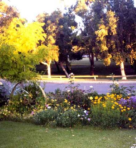 Parkside Bed And Breakfast - Accommodation Whitsundays 1