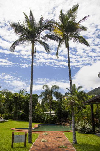 Lake Placid Tourist Park - Accommodation Whitsundays 1