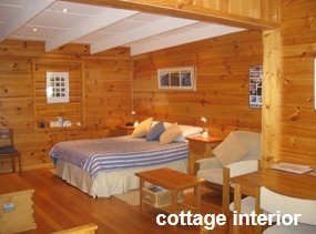 Anglesea Rivergums - Accommodation Whitsundays 0