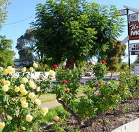 Narrogin Motel - Accommodation Whitsundays