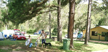 Glass House Mountains Holiday Village - Accommodation Whitsundays 2
