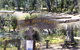 BIG 4 Barossa Tourist Park - thumb 4