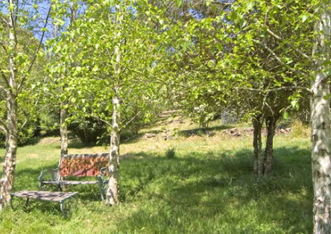 Tomah Mountain Lodge - Accommodation Whitsundays 2