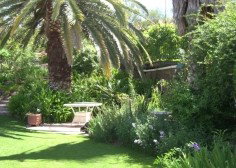 Nthaba Cottage - Accommodation Whitsundays 0