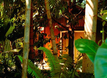 Rum Jungle Bungalows - Accommodation Whitsundays 5