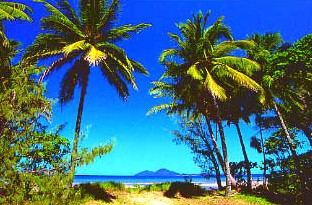 Mission Beach Rainforest Motel - Accommodation Whitsundays 1