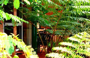 Mission Beach Rainforest Motel - Accommodation Whitsundays 3