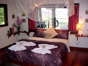 Daintree Cloud 9 - Accommodation Whitsundays 0