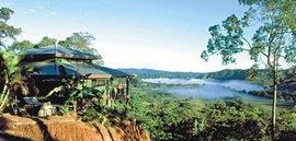 Daintree Cloud 9 - Accommodation Whitsundays 1