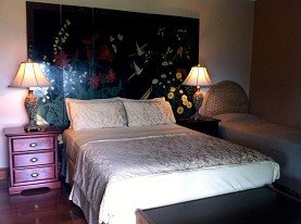 Daintree Manor - Accommodation Whitsundays 0